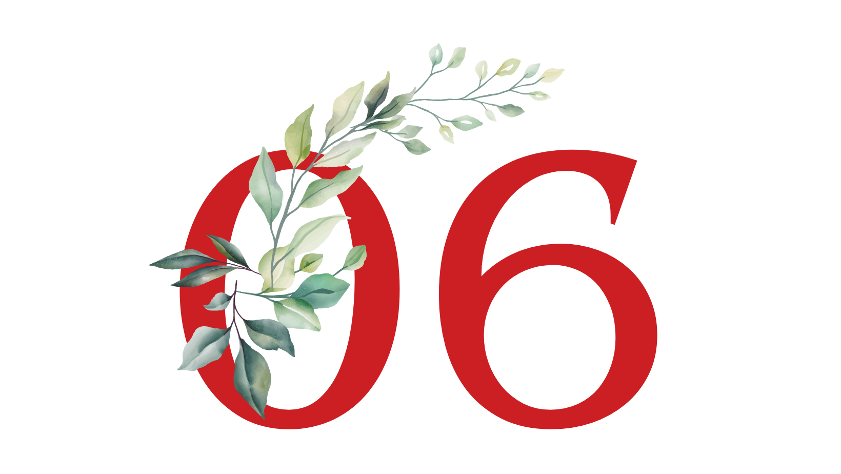 6